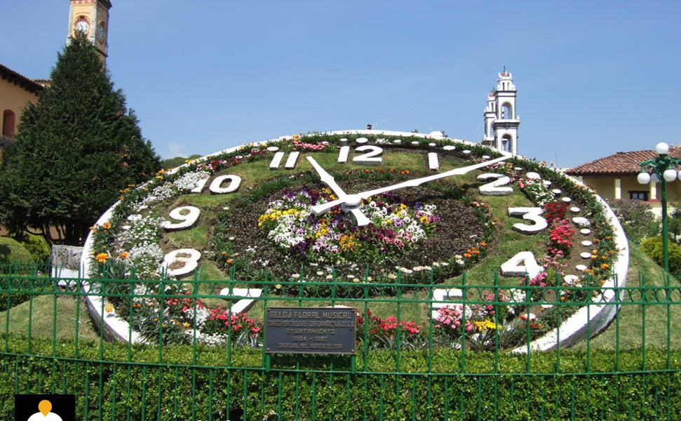 Reloj floral